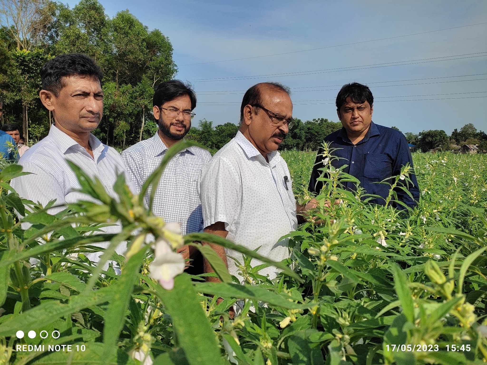 বিভিন্ন কার্যক্রম