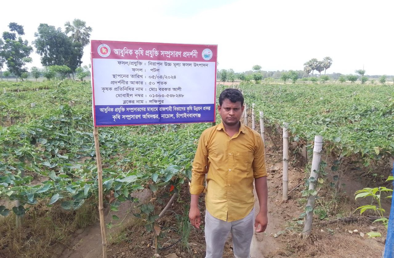 নিরাপদ সবজি চাষ (পটল)