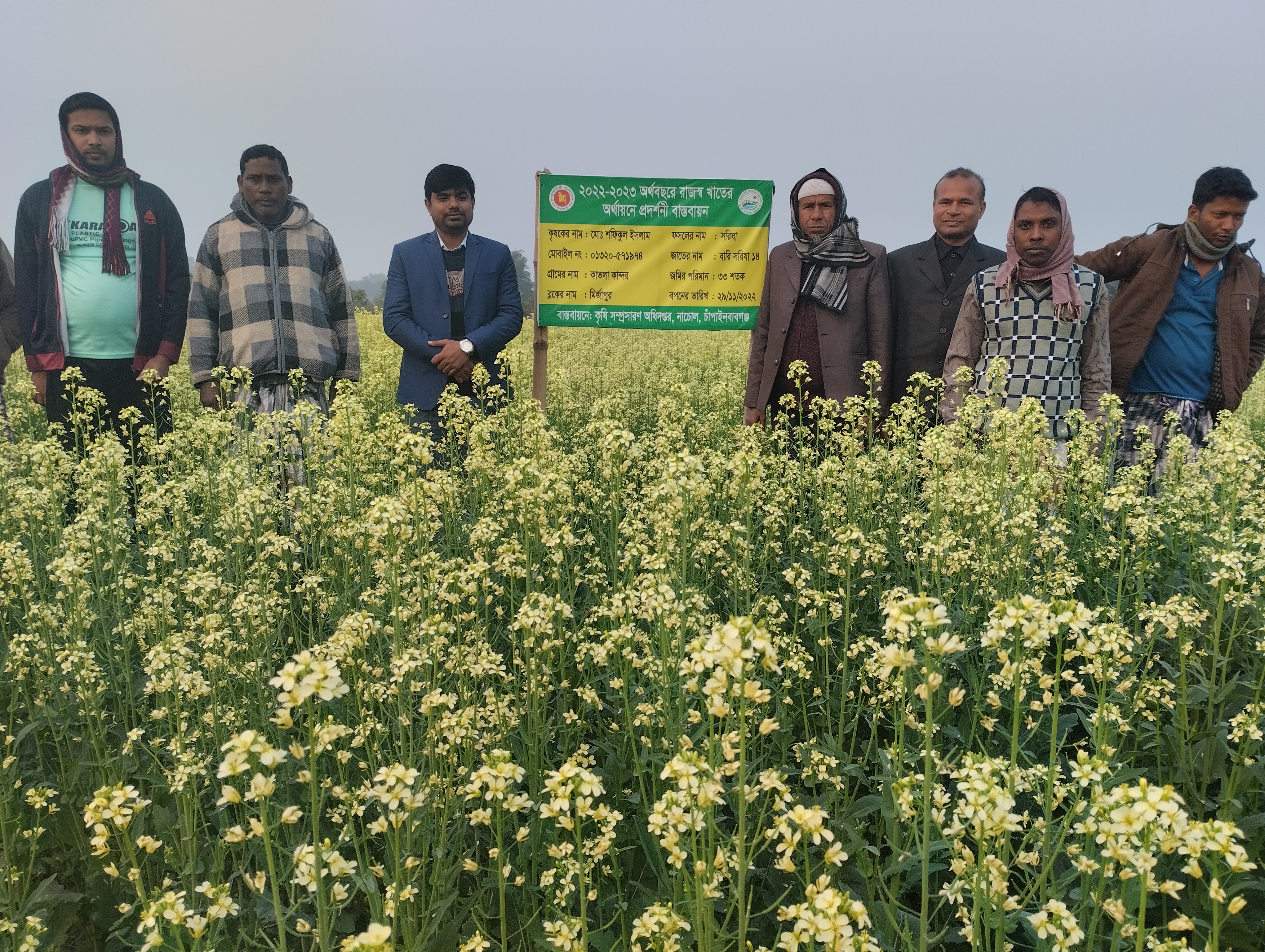 রাজস্ব প্রদর্শনী সরিষা