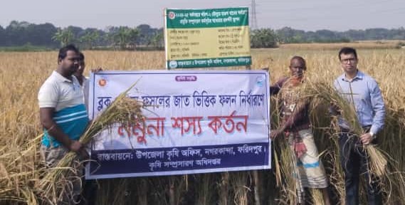 শস্য কর্তন