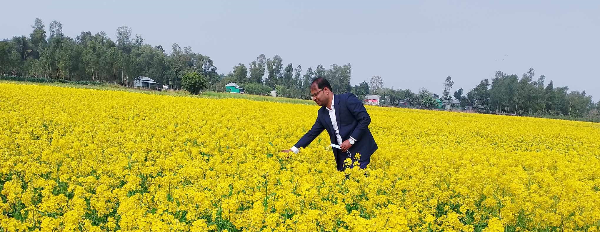 এস. এম. রাশেদুল হাসান, উপজেলা কৃষি অফিসার, নাগরপুর, টাঙ্গাইল এঁর সরিষার মাঠ পরিদর্শন।