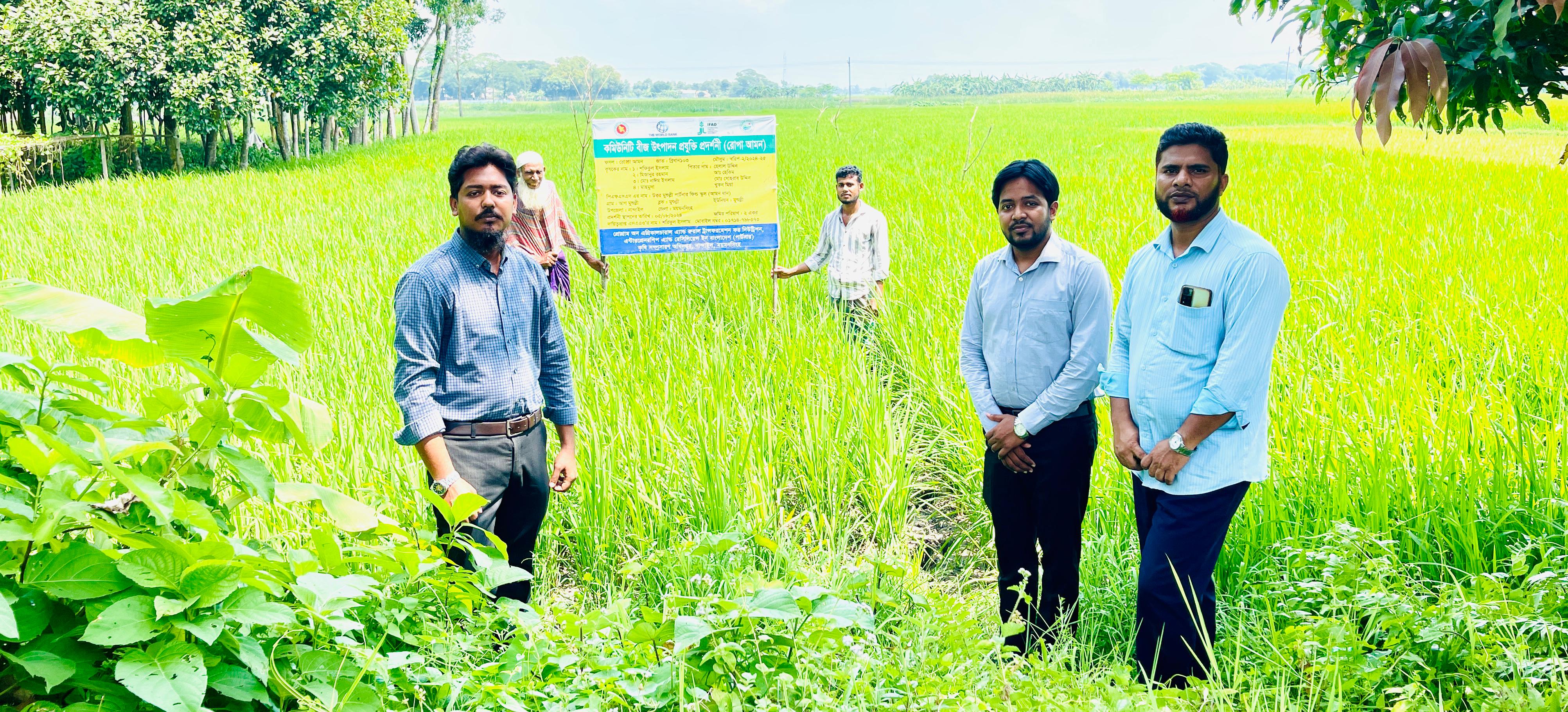 আমন ধান প্রদর্শনী
