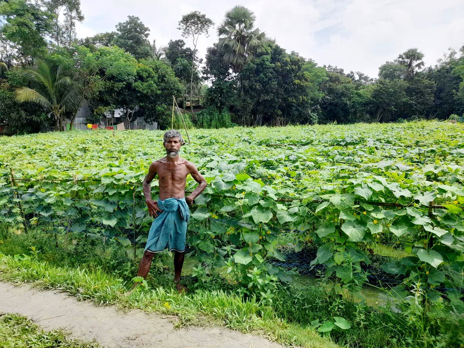 ফলনের সামনে কৃষক