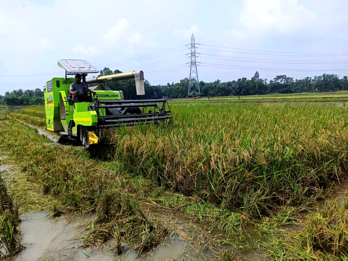 কম্বাইন্ড হারভেষ্টার দিয়ে ধান কাটা