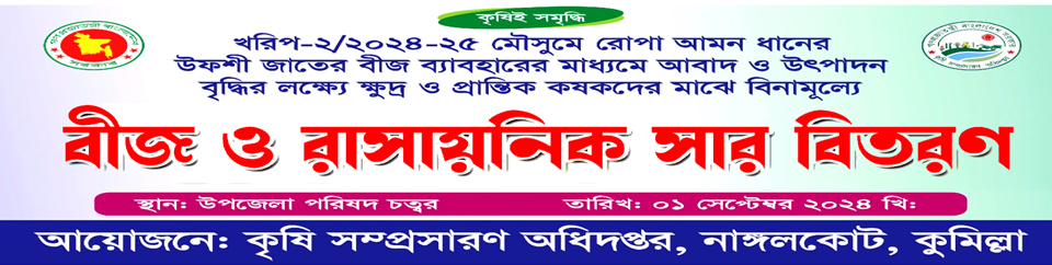 রোপা আমন