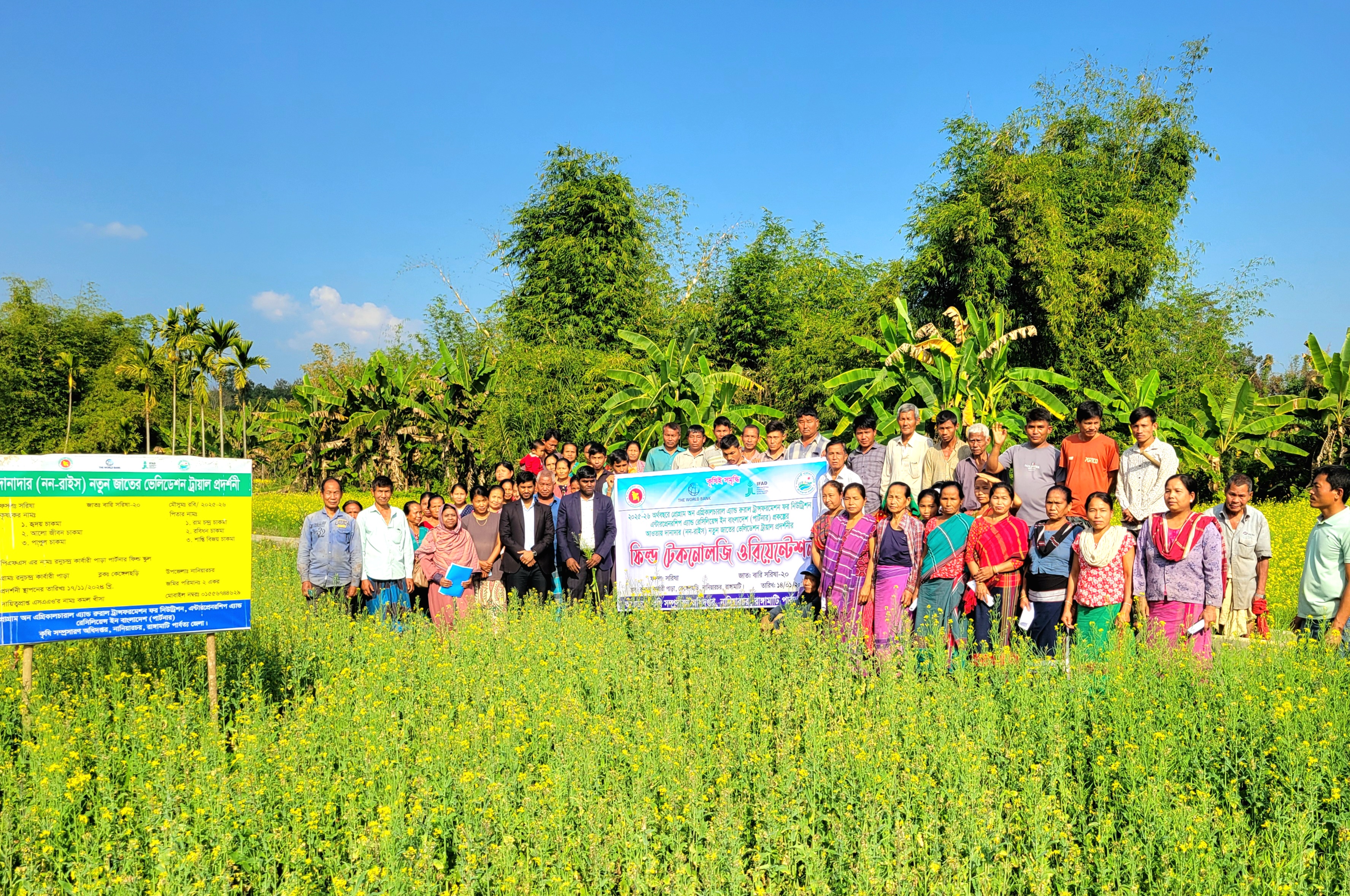 দানাদার(নন-রাইস) নতুন জাতের ট্রায়াল প্রদর্শনী