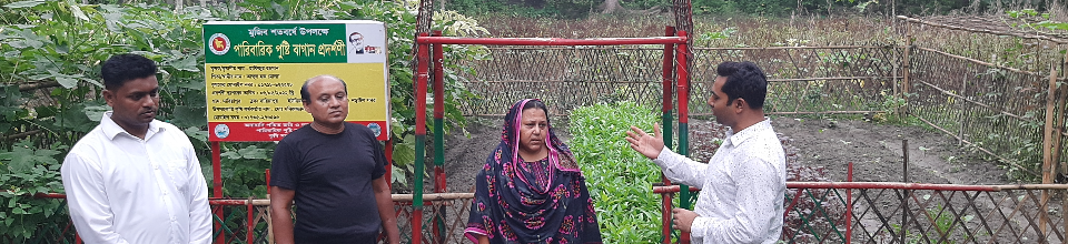 পারিবারিক পুষ্টি বাগান