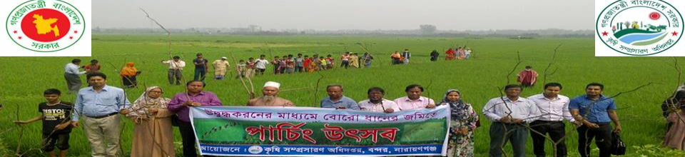 পার্চিং উৎসব, নারায়ণগঞ্জ