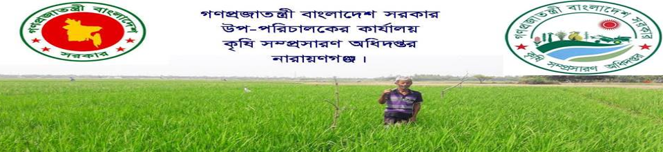 উপ-পরিচালকের কার্যালয়, কৃষি সম্প্রসারণ অধিদপ্তর, নারায়ণগঞ্জ।