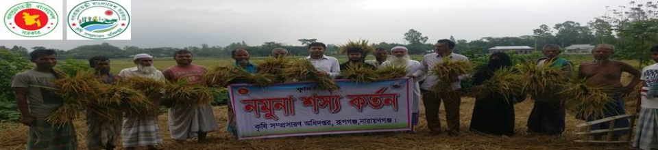 নমুনা শস্য কর্তন