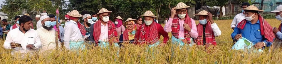 জেলা প্রশাসক, নারায়ণগঞ্জ কর্তৃক আড়াইহাজার উপজেলায় শস্য কর্তন অণুষ্ঠানে যোগদান