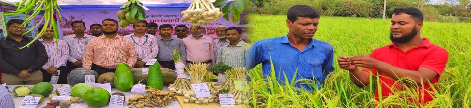 নড়িয়া কৃষি অফিসের কর্ম পরিধী