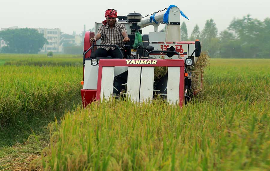 বাংলাদেশের কৃষক