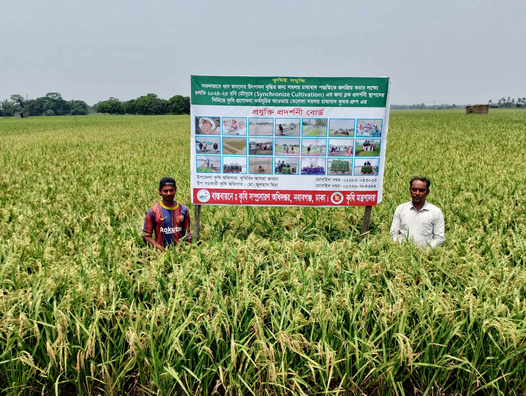 সমলয় চাষাবাদ