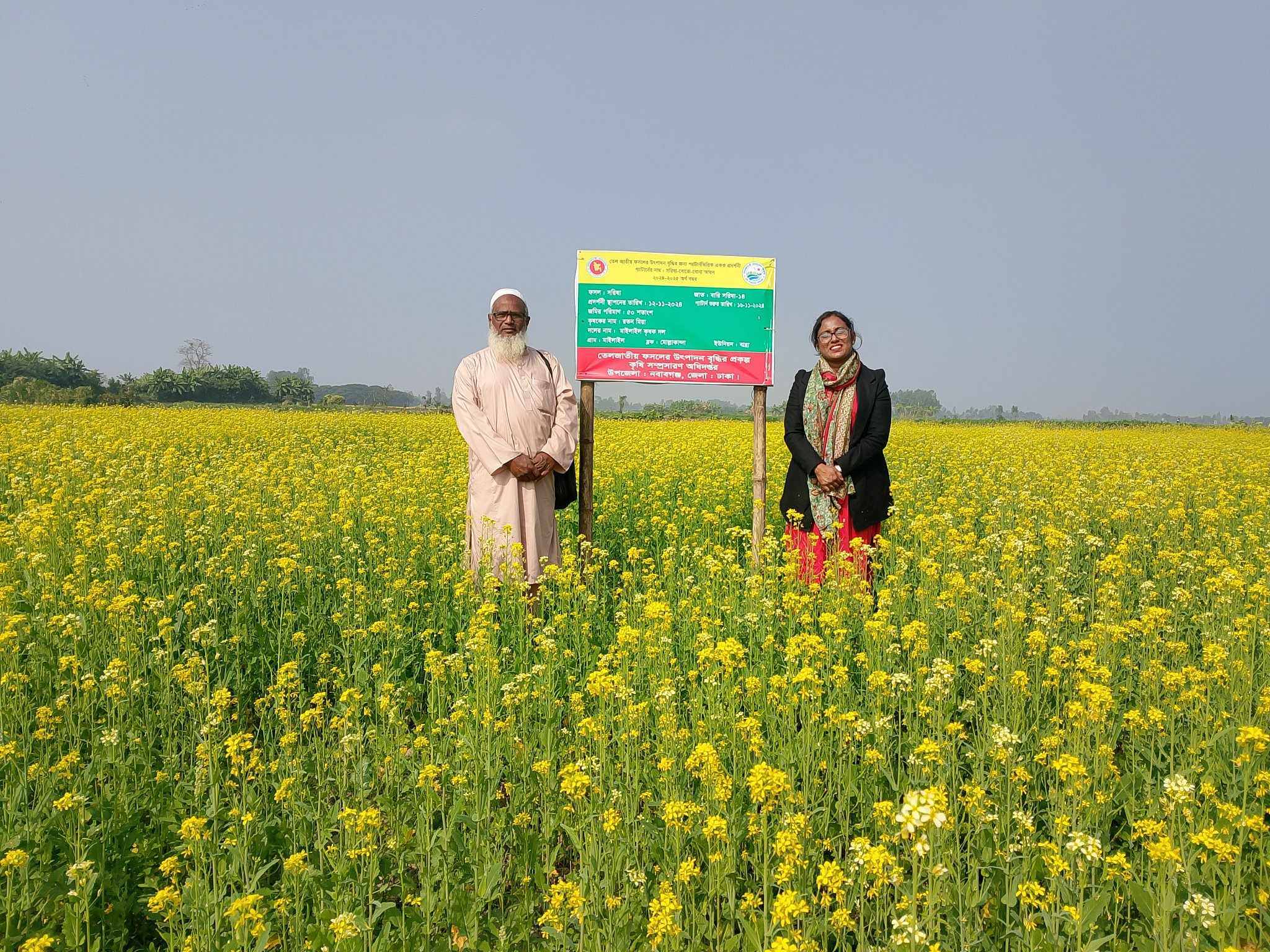 Demonstration plot under the Oilseed Production Increase Project