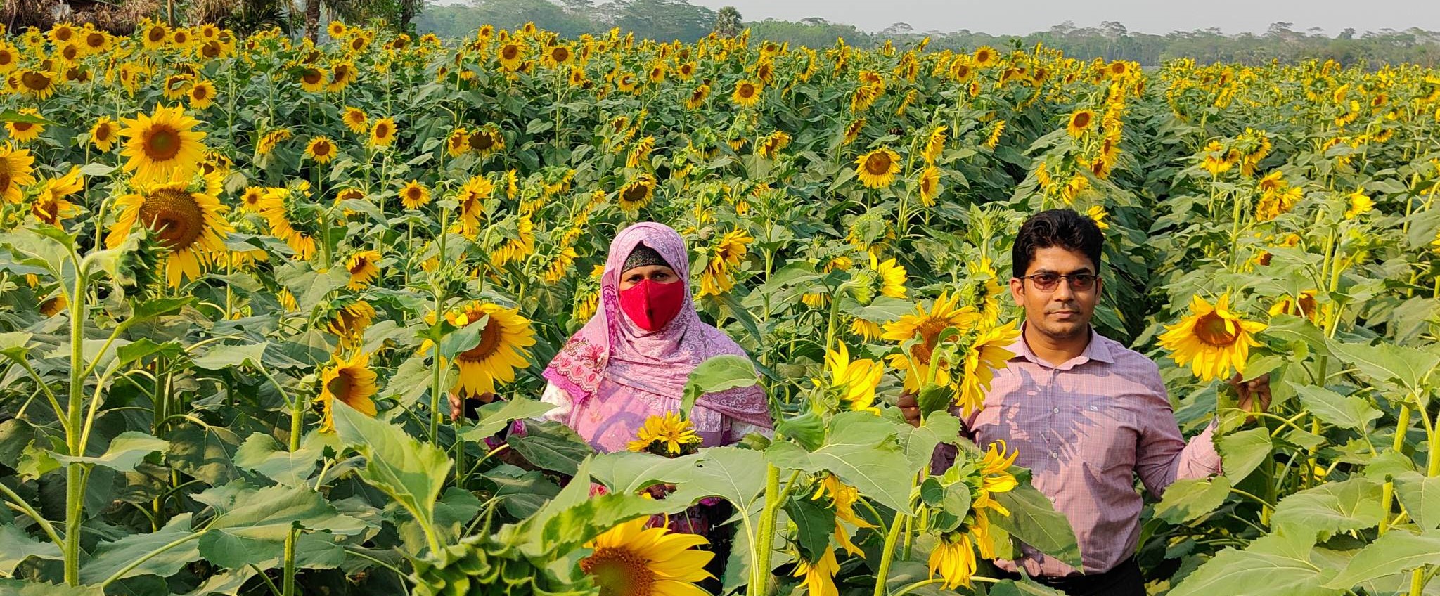 মাঠ পরিদর্শন কর্মসূচি