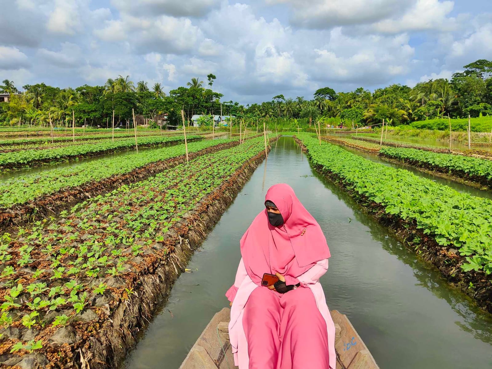ভাসমান বেডে সবজির চারা উৎপাদন