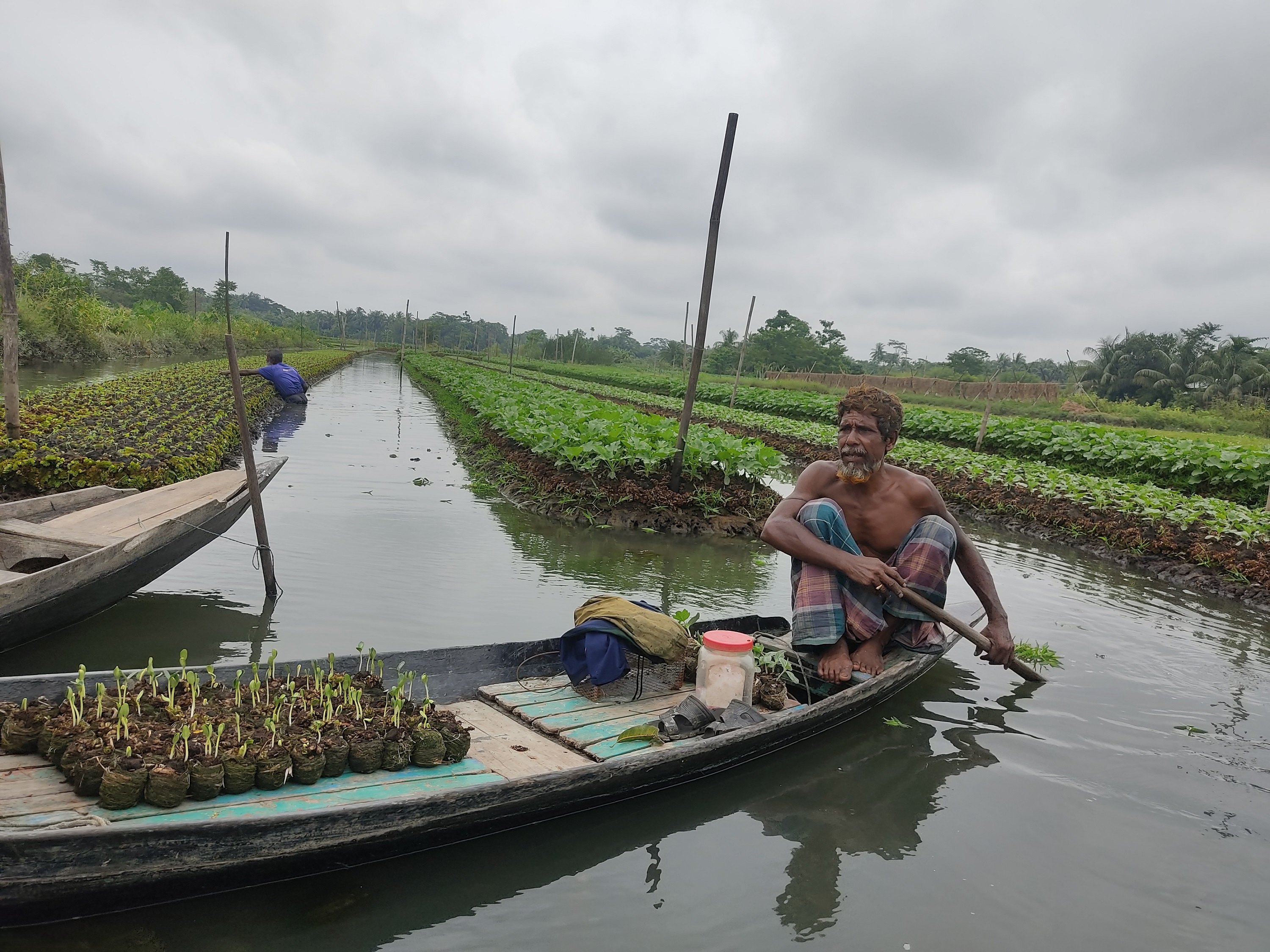 ভাসমান কৃষি