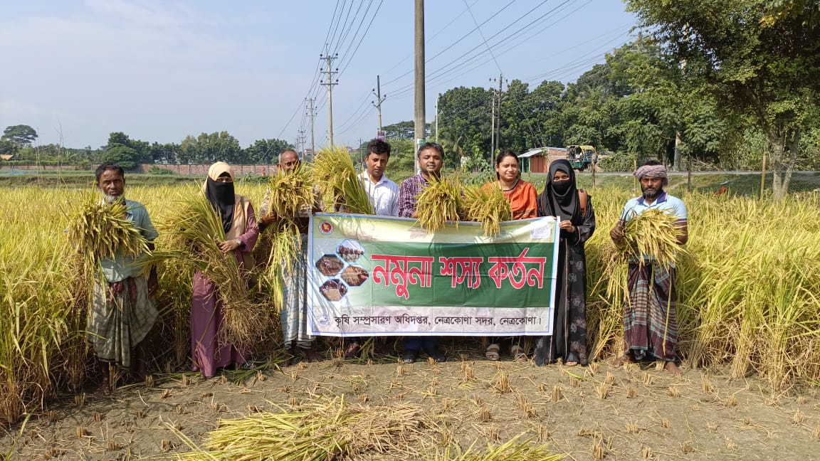 নমুনা শস্য কর্তন