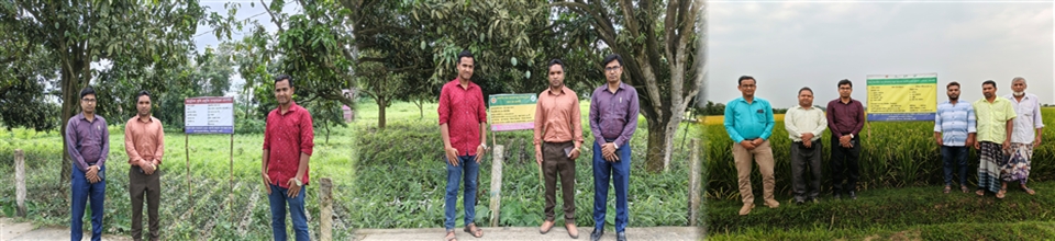 মাঠ পরিদর্শন