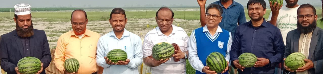 তরমুজ