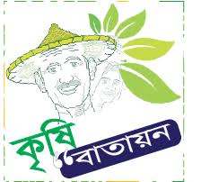বিভিন্ন বাতায়ন