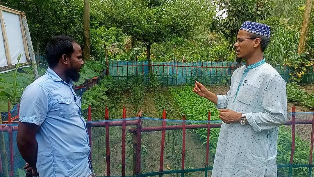 মাঠ পরিদর্শন