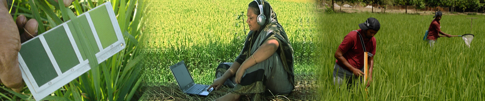 Digital agri