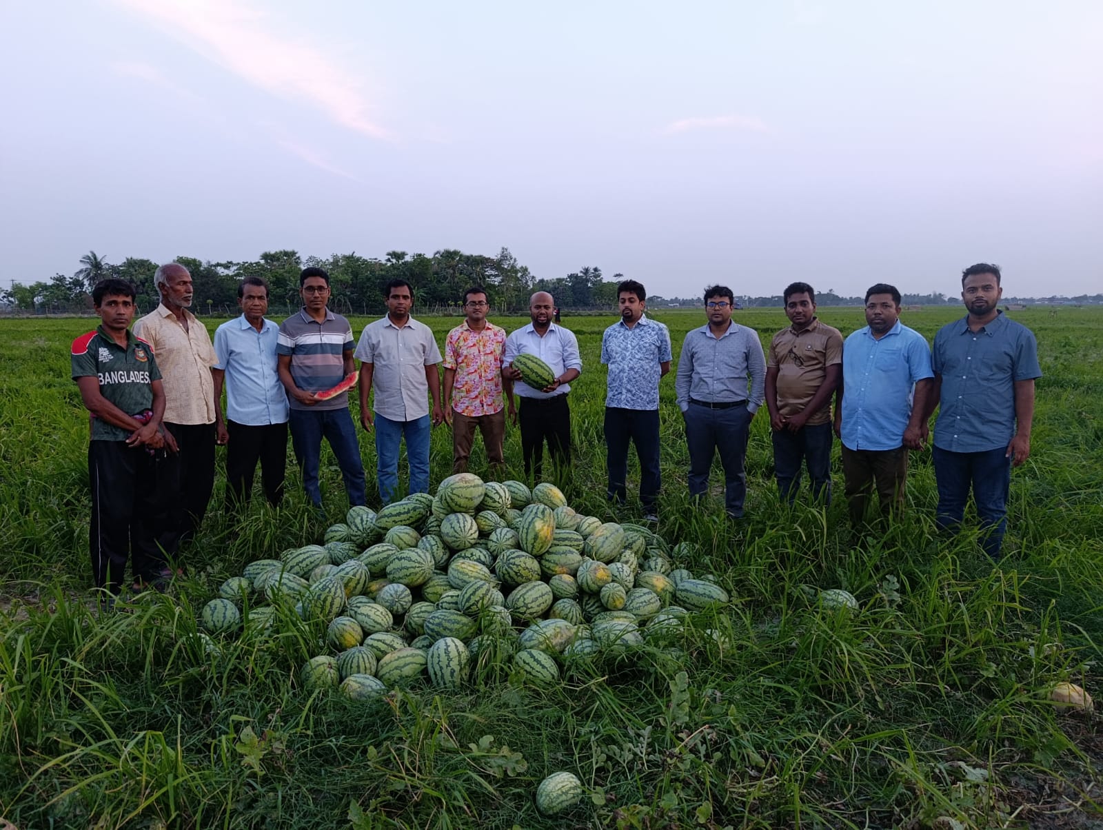 পাইকগাছা উৎপাদিত তরমুজ সংগ্রহের সময়