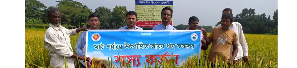 শস্য কর্তন