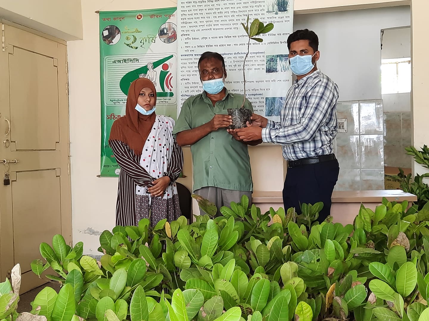 কাজুবাদাম প্রদর্শনীর উপকরণ বিতরণ