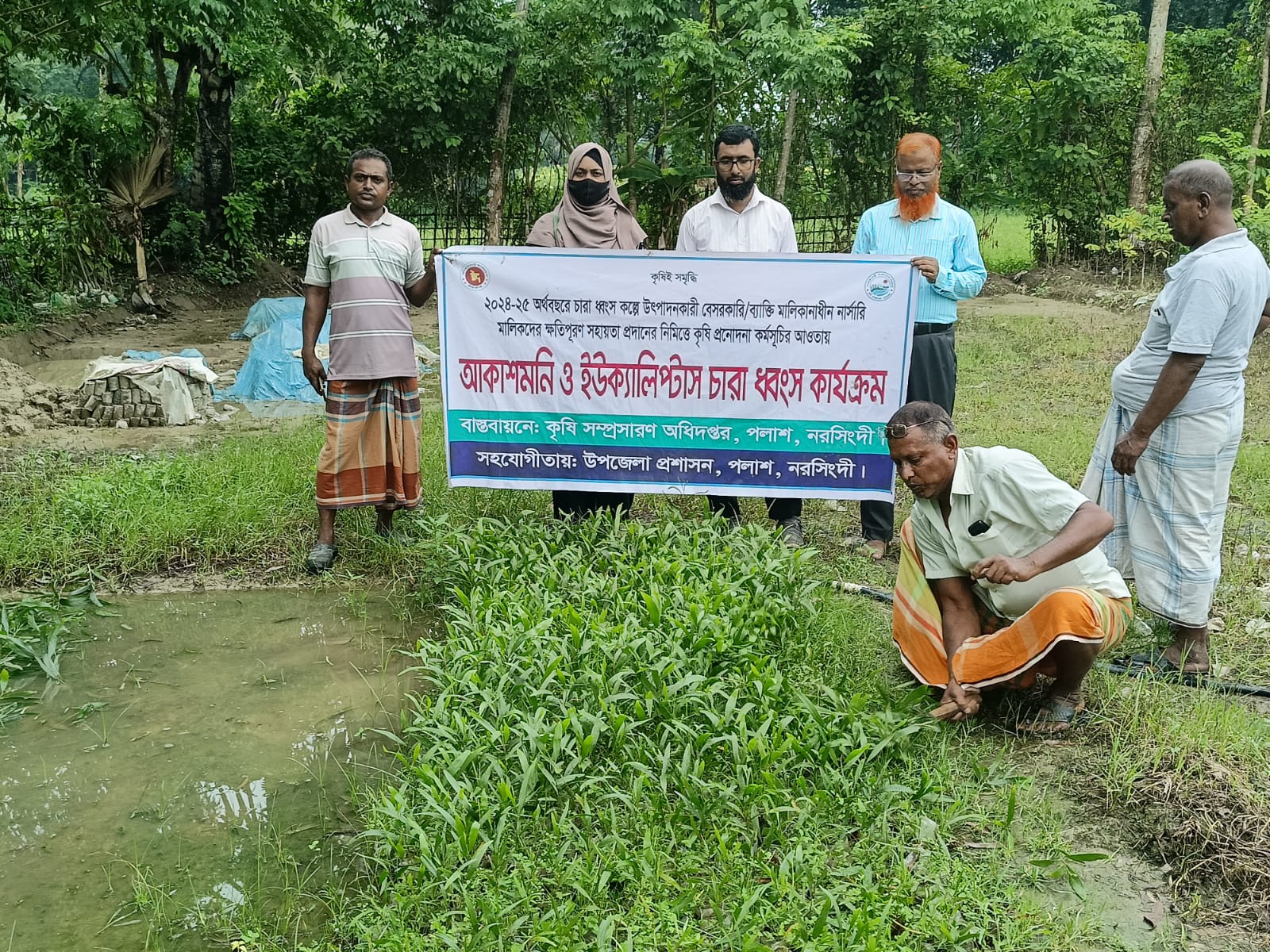 আকাশমনি চারা ধ্বংস