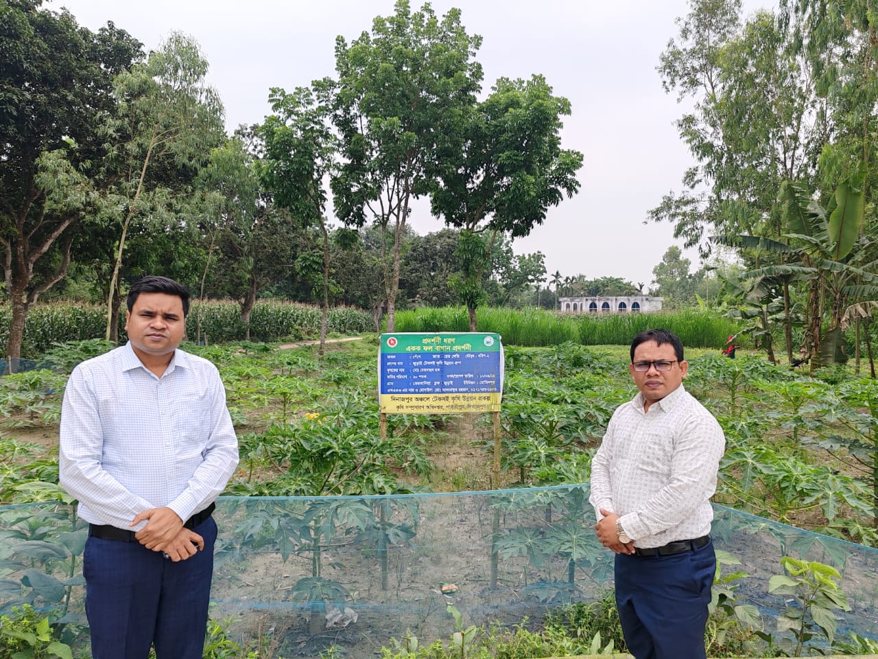 দিনাজপুর অঞ্চলে টেকসই কৃষি উন্নয়ন প্রকল্প