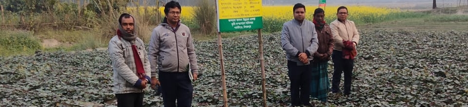 কন্দাল
