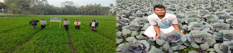 টেকসই কৃষি উন্নয়ন প্রকল্প