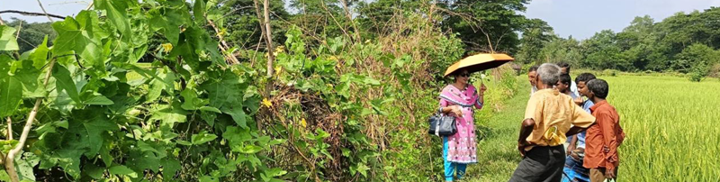 কৃষককে পরামর্শ