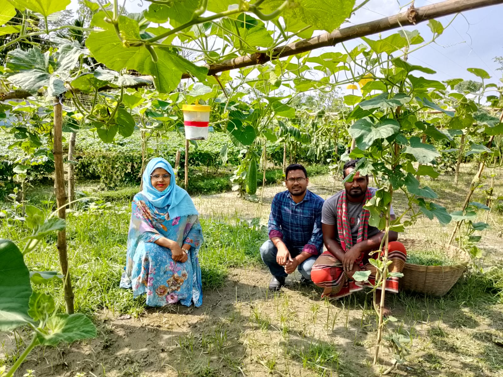 পার্টনার ডেমু