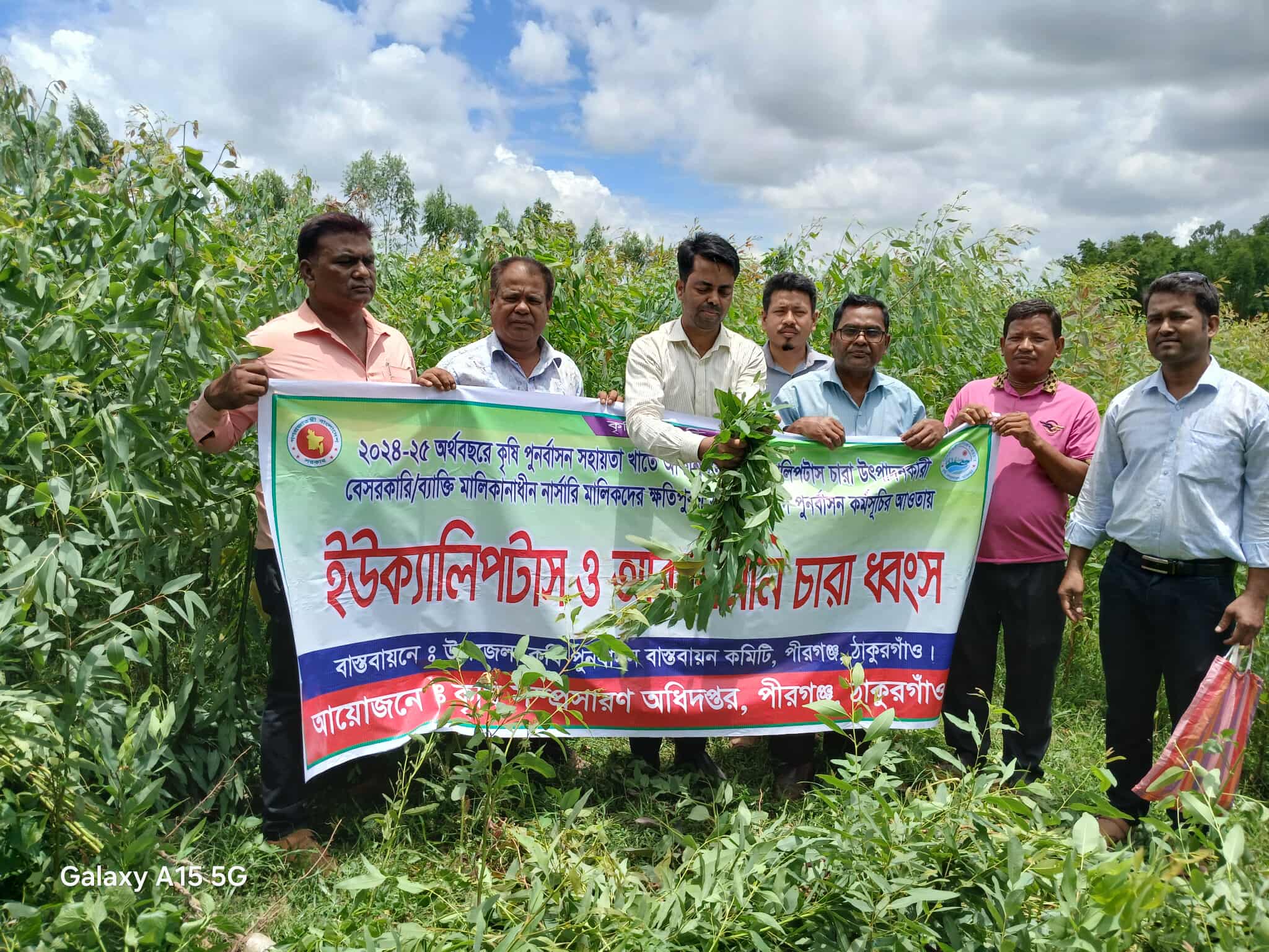 প্রণোদনা কর্মসূচির আওতায় ইউক্যালিপটাস ও আকাশমনির চারা ধ্বংস করে ক্ষতিপুরণ প্রদান।
