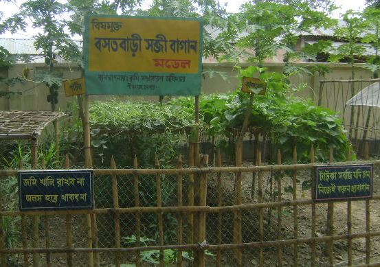 উপজেলা কৃষি অফিস