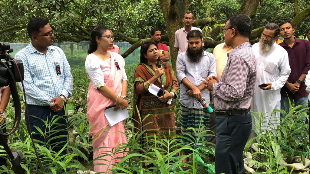 মাঠ পরিদর্শন