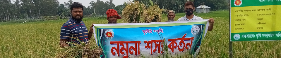 ৭। আউশ নমুনা শস্য কর্তণ, ২০২০-২১