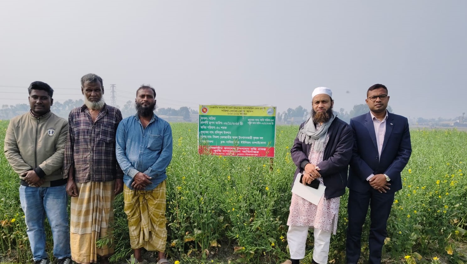 বারি সরিষা- ১৪