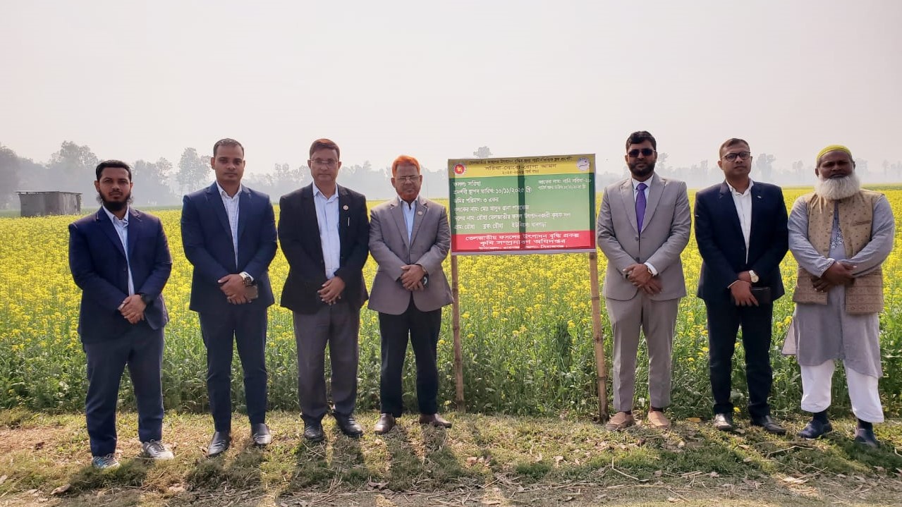 বারি সরিষা-২০