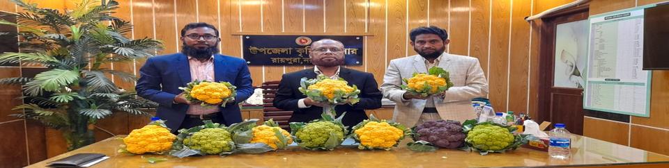 হলুদ ফুলকপি