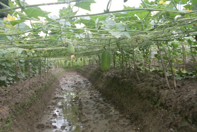 District E-Service Center