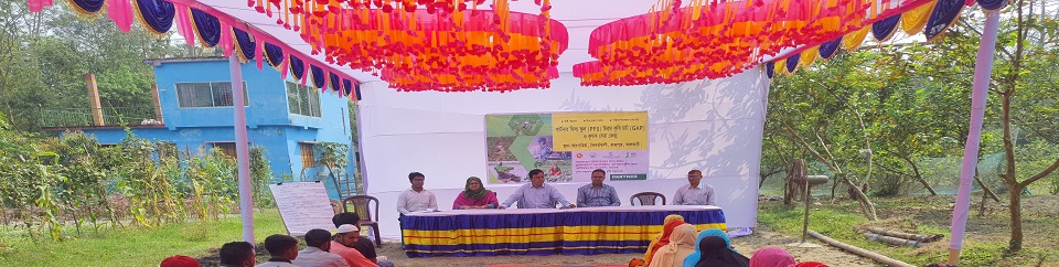 মাঠ দিবস