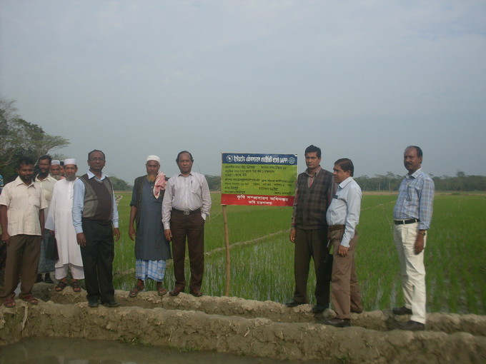 Advertisement Corner