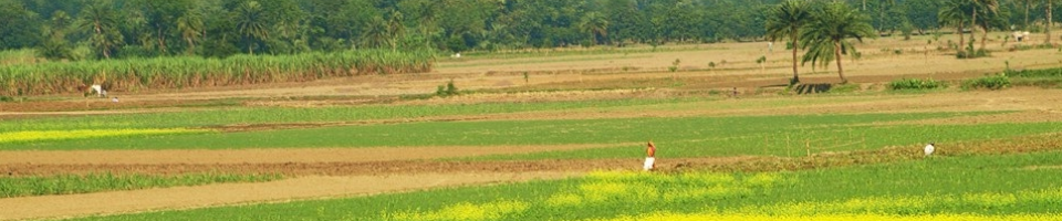 বরেন্দ্র এলাকার চিত্র