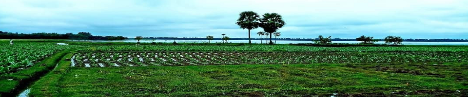 বরেন্দ্র এলাকার কৃষি