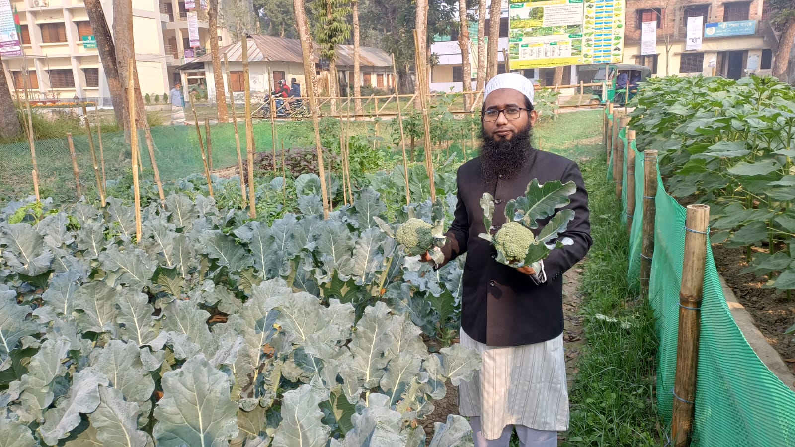 অফিস বাগান